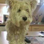 Profile Picture of Gill Charlesworth (@gilliancharlesworth) on Instagram