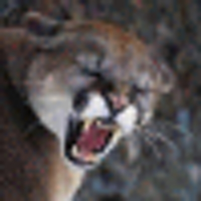 Profile Picture of Nancy Harden (@keenyhey) on Twitter