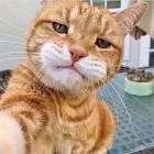 Profile Picture of   OyEn ada myvi king🚲... (@oyendahtua1) on Tiktok