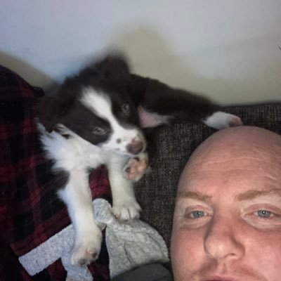 Profile Picture of Phillip Perkins (@phillip03694701) on Twitter