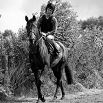 Profile Picture of Richard OBrien (@richardobrienracing) on Instagram