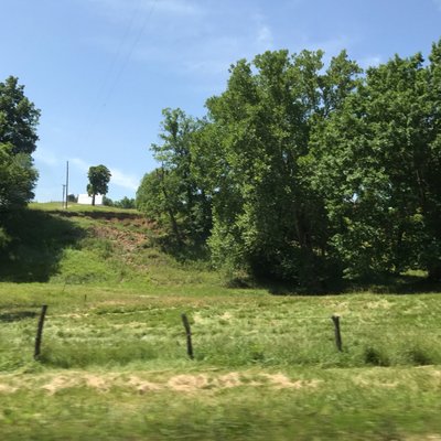 Profile Picture of Adam Cutrer (@cutrerradam) on Twitter