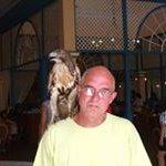 Profile Picture of Paul Rowlands (@paul_rowlands2501) on Instagram