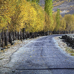 Kamran Haider - Flickr Profile Picture of Kamran Haider (@al-raza'z) on Flickr