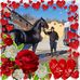 Profile Picture of Stevan Jovanovic (@stevan.jovanovic.92102) on Facebook