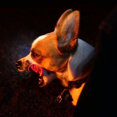 Profile Picture of Chris London (@londonsez) on Twitter