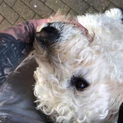 Profile Picture of Martin Biddulph (@MartinBiddulph) on Twitter