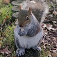 Profile Picture of Amanda Frankland (@amanda-frankland-8) on Quora