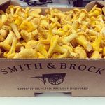 Profile Picture of Daniel Kelleher (@dan.smith.and.brock) on Instagram