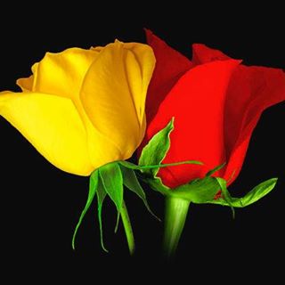 Deepa Puri - Facebook Profile Picture of Deepa Puri (@deepa.puri.71) on Facebook