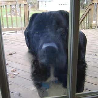 Profile Picture of Max Casto (@max.casto.9) on Facebook