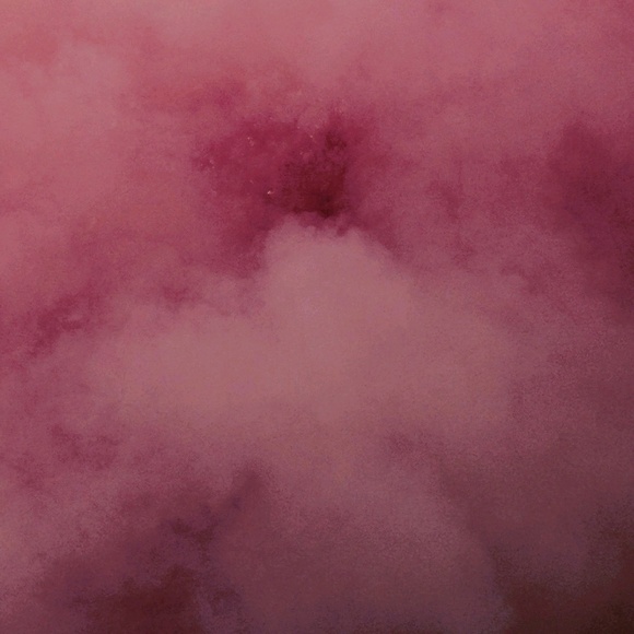 Profile Picture of Ashley Paszko (@ashleyinfl) on Poshmark