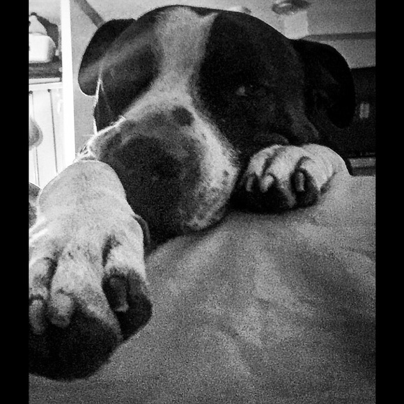 Profile Picture of Sara Obstarczyk (@sao361) on Poshmark