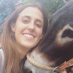 Profile Picture of Alebegunfans (@alexbegunforever) on Instagram