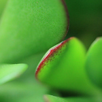 Profile Picture of Amy Bates-garone (@amybatesny) on Flickr