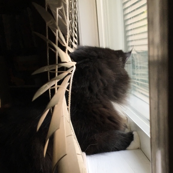 Profile Picture of Leanza Chavez (@leanzac) on Poshmark