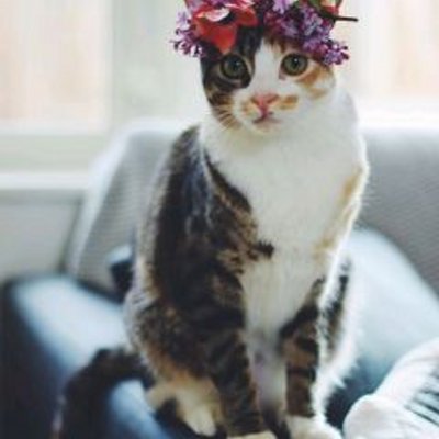 Profile Picture of Julie♥ (@julia_nickel01) on Twitter