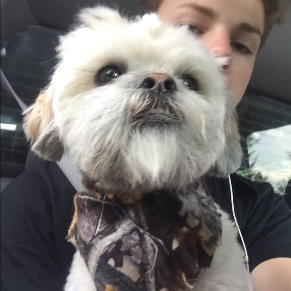 Profile Picture of Pat Hanson (@hanson2730) on Poshmark