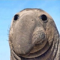 Profile Picture of Bryan Barraza (@bryan-barraza) on Quora