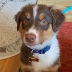 Profile Picture of Autumn Rose Baum (@autumnrosebaum) on Instagram