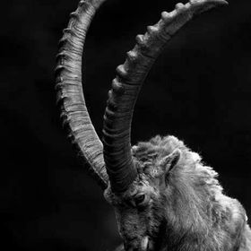 Profile Picture of Eugene Lutze (@eugenelutze) on Pinterest