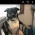 Profile Picture of Cassie Boyer (@cassie.boyer.5458) on Facebook
