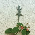 Profile Picture of Brian Park (@brian._.park) on Instagram