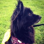 Profile Picture of Hazel Pearson (@hazel.pearson.733) on Instagram