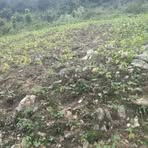 Profile Picture of Gary Kerlin (@Gary-Kerlin) on Facebook