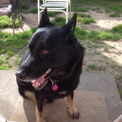 Profile Picture of Richard Fisch (@RFidch) on Twitter