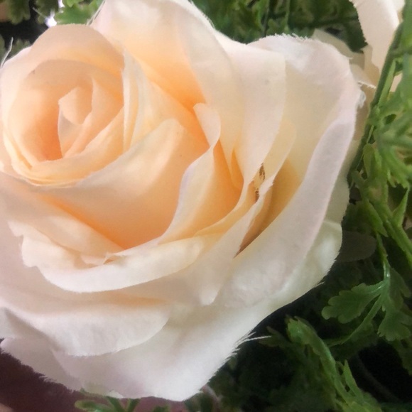 Profile Picture of Shaima Alghazali (@shosho98) on Poshmark