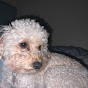 Profile Picture of Leaporde Colours (@@iLikeTurkey2002) on Tiktok
