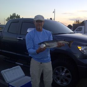 Joel Wood - Pinterest Profile Picture of Joel Wood (@ahteef) on Pinterest