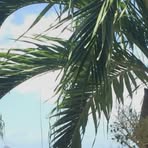 Profile Picture of Aaron Harney (@aaron.harney.96) on Facebook