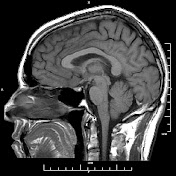 Profile Picture of Michael Warrington (@michaelwarrington8057) on Youtube