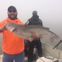 Profile Picture of Seth Rice (@@sethrice1) on Tiktok