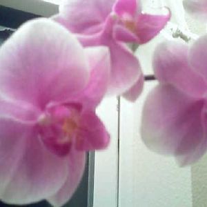 Profile Picture of Nicolle Wilson (@165328888) on Myspace