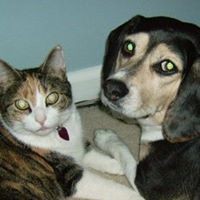 Profile Picture of Tammy Schultz (@tammy-schultz-10) on Quora