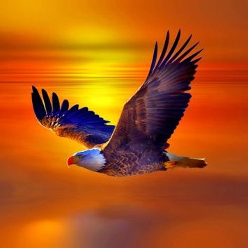 Profile Picture of Damian Wilson (@damowilco) on Twitter