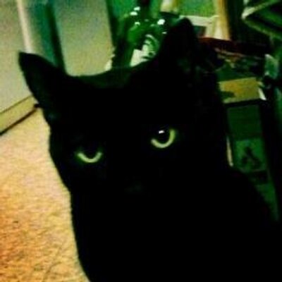 Profile Picture of Matilda Smith (@Tildalein) on Twitter