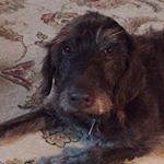 Profile Picture of Roxy (@hall._.roxy) on Instagram