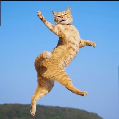 Profile Picture of Calvin Chiu (@CalvinChiu17) on Twitter