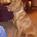 Profile Picture of Larry Pena (@larry.pena.1804) on Instagram