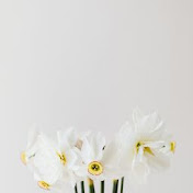 Profile Picture of CHERRY SCOTT (@adigunemmanuelabiodun3560) on Youtube