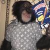 Profile Picture of :) (@@daneselden) on Tiktok