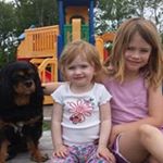 Profile Picture of Kevin Hislop (@hislopkevin) on Instagram