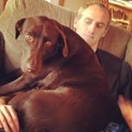 Brad Hotelling - Instagram Profile Picture of Brad Hotelling (@bhotelling) on Instagram