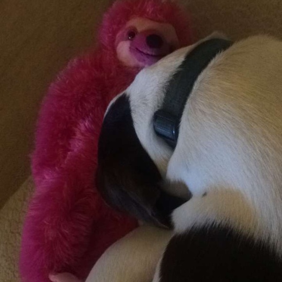 Profile Picture of Ben Marsh (@benmarsh18) on Poshmark