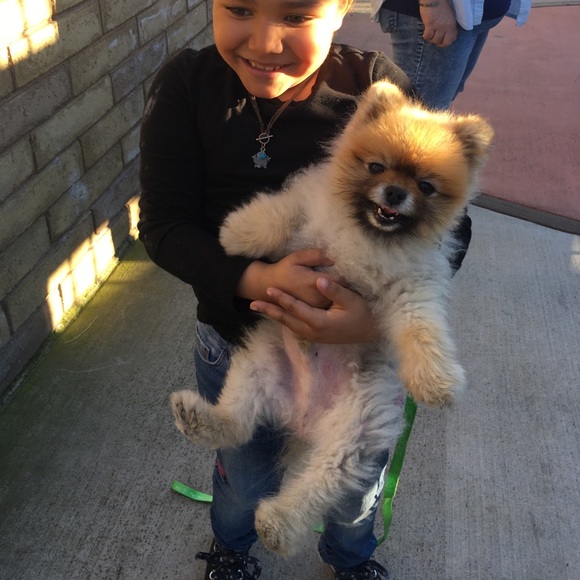 Profile Picture of Shae Deleon (@shaedeleon) on Poshmark