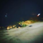 Profile Picture of tree survice stl only (@jasonhuttman) on Instagram